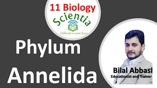 Phylum Annelida  11 Biology Chapter 10 by Scientia  UrduHindi [upl. by Lissy]