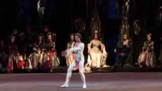 Andrei Uvarov in Swan Lake  2 [upl. by Papageno]