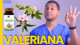 VALERIANA PARA QUE SIRVE  3 COSAS [upl. by Tigdirb]