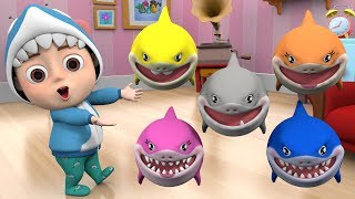 Baby Shark 🦈 Baby shark family Kids song amp nursery rhymes baby song baby shark song dance [upl. by Dry562]