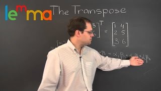 Linear Algebra 11w Introduction to the Transpose of a Matrix [upl. by Quintina]