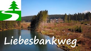 Der Liebesbankweg bei Hahnenklee  Wandern im Harz [upl. by Kcirred]