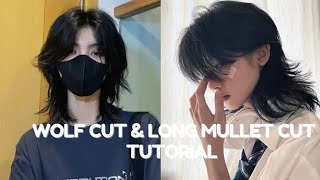 wolf cut and long mullet haircut tutorial⭐🌼🧡💗trending viral viralvideo fashion hairstyle like [upl. by Ahsieken]