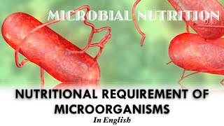 MICROBIAL NUTRITION  Nutritional Requirements of Microorganisms  Macro and Micronutrients English [upl. by Yelah]