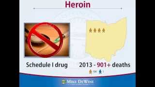 Naloxone Educational Video [upl. by Lenard819]