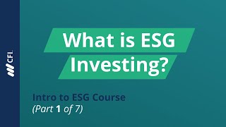 What is ESG Investing  Intro to ESG Course Part 1 of 7 [upl. by Osmen]