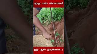 புற்று மண் வியாபாரம்  இளைஞரின் புதிய முயற்சி  Amazing thamizha [upl. by Mosi]