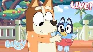 🔴LIVE Best of Bluey Series 2  FULL EPISODES  Bluey [upl. by Ysle]