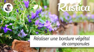 Réaliser une bordure de campanules [upl. by Liatrice]