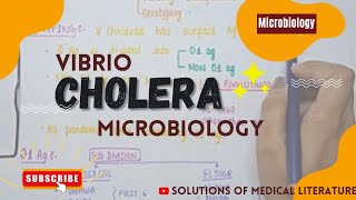 Vibrio Cholera  Pathogenesis  signs amp symptoms  diagnosis amp Treatment  MICROBIOLOGY [upl. by Chelsea]