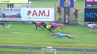 Capalaba07072024Race6 [upl. by Cline]