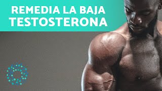 7 ALIMENTOS para AUMENTAR tu TESTOSTERONA en HOMBRES🧔🏽¿Qué Comer para Aumentar la Testosterona [upl. by Vine]