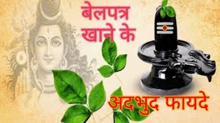 भगवान शिव को चढ़ने वाला बेलपत्र खाने के 5 फायदे belpatra shivratri shiv [upl. by Sublett26]