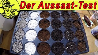 Aussaat in Kokos Perlite Kaffee und Wolle 😮 Mit Daniella und Englischunterricht [upl. by Kcin]