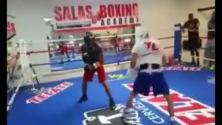 Teofimo Lopez vs Rolando quotRollyquot Romero Intense Sparring Session [upl. by Nwatna335]