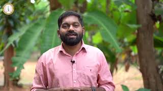 DOMUSCAT  CLASS 10  CHAPTER 15  PART 2  ERNAKULAMANGAMALY ARCHDIOCESE  SUNDAY SCHOOL CATECHISM [upl. by Mylan644]