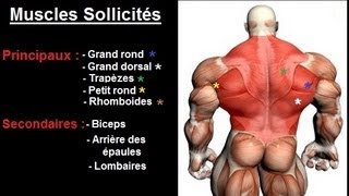 Exercice musculation Dos  quot Tirage horizontal prise serrée quot [upl. by Yseulta]