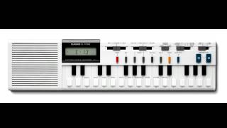 Casio Tone VL  1 Default Demo Song [upl. by Elwira]