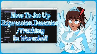 How To Set Up Expression DetectionTracking In Warudo [upl. by Henn]