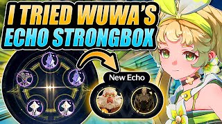 EXTRA DATA BANK EXP I Tried The ECHO STRONGBOX DATA MERGE in WUTHERING WAVES [upl. by Ahsieat815]