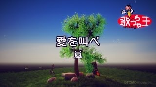 【カラオケ】愛を叫べ  嵐 [upl. by Gamal]