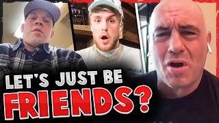 Nate Diaz SENDS MESSAGE to Jake Paul Joe Rogan RESPONDS to biased commentary criticism Dana White [upl. by Tabbatha]