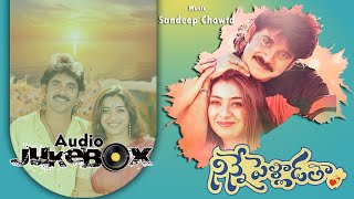 Ninne Pelladatha Telugu Songs Jukebox  Nagarjuna Tabu  Sandeep Chowta  TELUGUSONGSLIBRARIE [upl. by Yona]