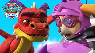 Rescue Knight Pups save Princess Sweetie from a Dragon  PAW Patrol Episode  Cartoons for Kids [upl. by Fai]