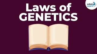 Laws of Genetics  Lesson 5  Dont Memorise [upl. by Emlyn551]