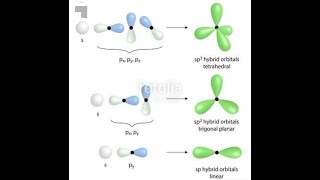 Hybridization of organic compounds shapes of moleculesTypes of hybridization sp sp2 and sp3 [upl. by Cindie]