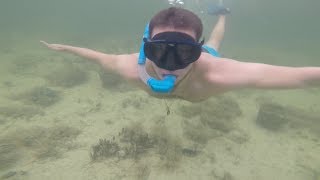 OMG ein HAI  Key West Vlog Schnorcheln [upl. by Korfonta]