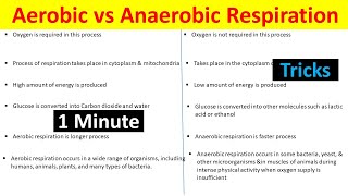 Aerobic vs Anaerobic Respiration Understanding the Differences BiologyLectures [upl. by Niletak]