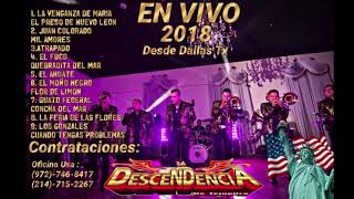 La Descendencia de Tejupilco Disco Completo En Vivo2018 [upl. by Nosrak]