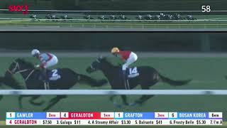 2021 The Japan Cup 2400M  Tokyo JPN  Contrail G1 [upl. by Mundford457]