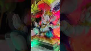 Ganesh chaturthi ganeshutsav festivalganapathishortsfeedexplore [upl. by Naesad]