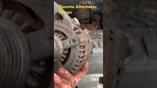 Bringing the 20 year old Tacoma Back to Life tacoma autorepair [upl. by Sucramal386]