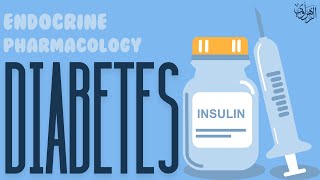 Endocrine Pharmacology AntiDiabetics [upl. by Wilmott]