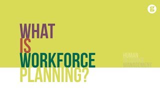 What is Workforce Planning [upl. by Ienttirb376]