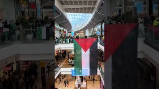 Pro Palestine protest in Stratford Westfield yesterday london [upl. by Zzahc]