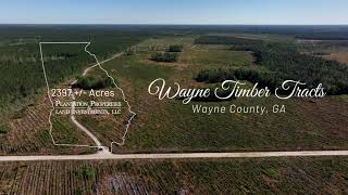 Wayne County Timber Tracts  2397 Acres in Wayne County GA [upl. by Keeley]