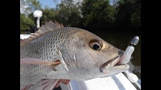 How to Target Mangrove Jacks [upl. by Amol]