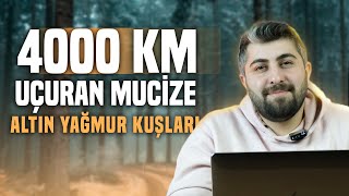 İMKANSIZI BAŞARMAK  Altın Yağmur Kuşları [upl. by Gombach]