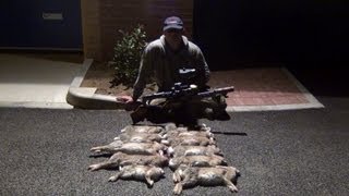 Shooting Rabbits with the HW100KT BSA Ultra SE and Nite Site NS200 go rabbit hunting [upl. by Anette690]