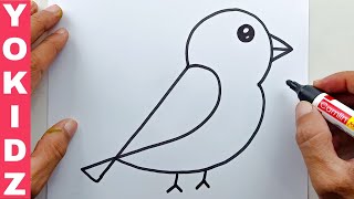 How to Draw A Bird Easy [upl. by Brion333]