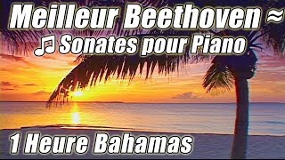 MUSIQUE classique pour létude des meilleures BEETHOVEN sonates Piano étude instrumentale chansons [upl. by Enayr]