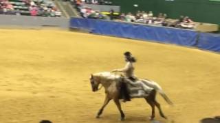 Indian Outlaw Reining Freestyle  Angie Reichert [upl. by Eustashe584]