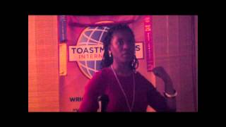 Opening Remarks for WAO Toastmasters Meeting on January 11 2014 [upl. by Lemmie]