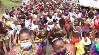 Swaziland Reed dance boosts tourism in KZN [upl. by Helbona]