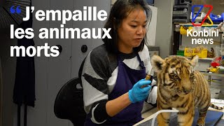 Taxidermiste  leur job empailler les animaux du muséum dHistoire naturelle  Good Job [upl. by Rutter]