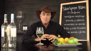 Aprendiendo sobre Sauvignon Blanc [upl. by Tilney813]